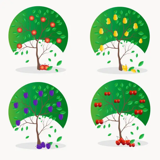 Vector illustration of Set for concept design. Beautiful illustration of a set of four trees with foliage. Ecology concept. Cartoon poster with green trees spring summer autumn winter.