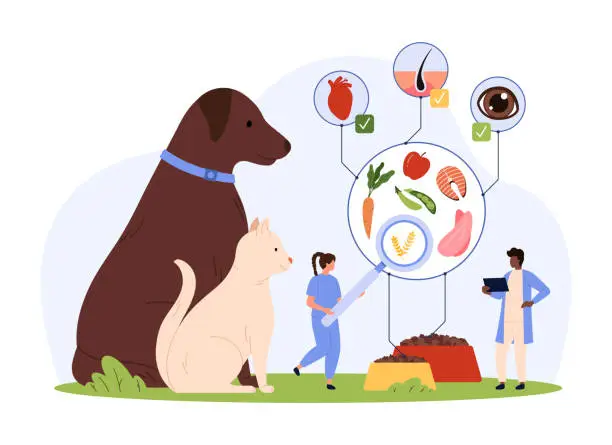 Vector illustration of Pet dry food quality testing in vet laboratory by tiny people with magnifying glass