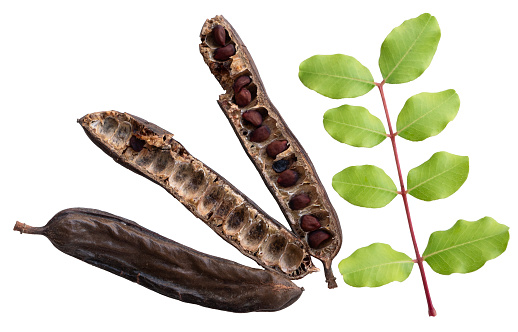 Carob with leaf isolated on white background