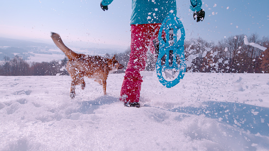 LOW ANGLE VIEW, CLOSE UP: Playful dog and lady in blue snowshoes run in fresh snow. Unknown woman is snowshoeing in the snowy countryside on a beautiful sunny winter day with her brown doggo by side.