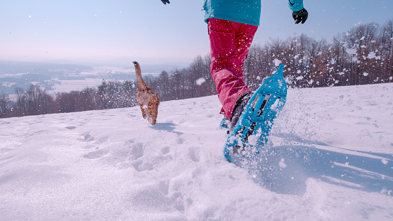 CLOSE UP, LOW ANGLE VIEW: Brown dog and a woman enjoy running in fresh snow. Active lady is snowshoeing in the snowy countryside on a beautiful sunny winter day with playful young doggo by her side.
