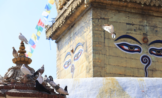 Swayambhunath or So called Monkey temple, this is a historic stupa in Kathmandu