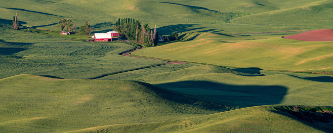 Palouse farmland with red barn surrounded by fertile crops