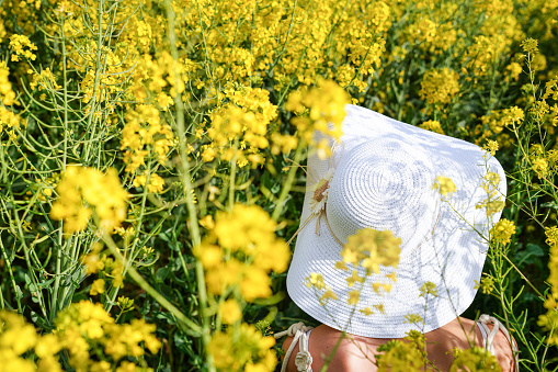 Aerial view of a woman with a hat in a rapeseed yellow field. Feeling of freedom in spring and summer.
