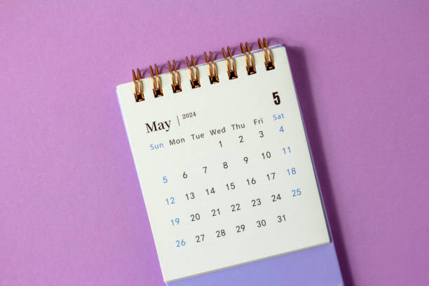 istock Desk calendar for May 2024 on a lilac background. 1887382519