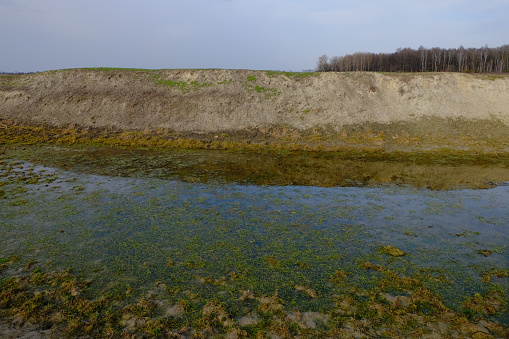 The exposed bottom of a dry pond. A shallow water body. A steep slope of the bank of an artificial pond.