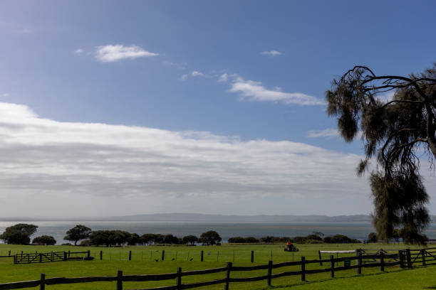 istock Churchill Island Landscape 1887408244