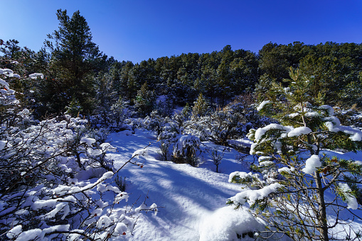 a heavy snow covered winter landscape in Sedona Arizona