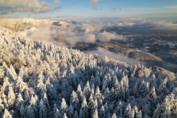 aérien vue majestueuse de la forêt alpine, des montagnes et de la vallée après des chutes de neige fraîches - snowpack photos et images de collection