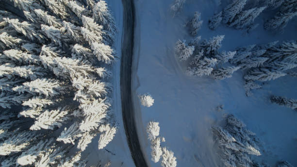 aerial top down: kurvenreiche asphaltstraße in der umarmung des schneebedeckten waldes - snowpack stock-fotos und bilder