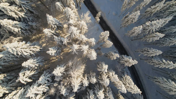 aerial top down: asphaltstraße schlängelt sich durch magisch verschneiten winterwald - snowpack stock-fotos und bilder