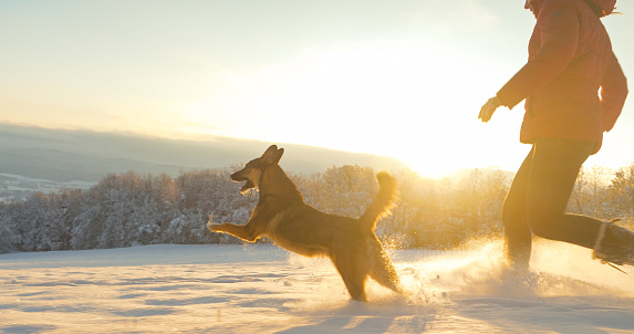 LENS FLARE: Lady and her playful dog run on fresh snow in golden morning light. Flying snow glistens in rays of winter sun. Woman and brown doggo enjoy a white fairy tale of snowy alpine countryside.