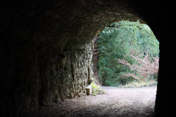 istock View inside a disused railway tunnel, on an abandoned train line 1887424549