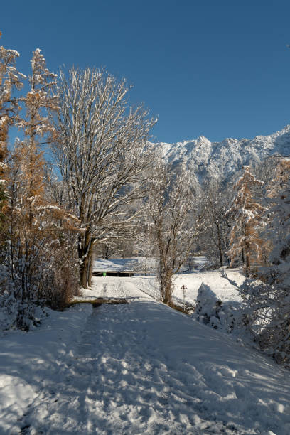 istock Incredible winter scenery in Vaduz in Liechtenstein 1887447985
