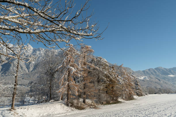 istock Incredible winter scenery in Vaduz in Liechtenstein 1887448006