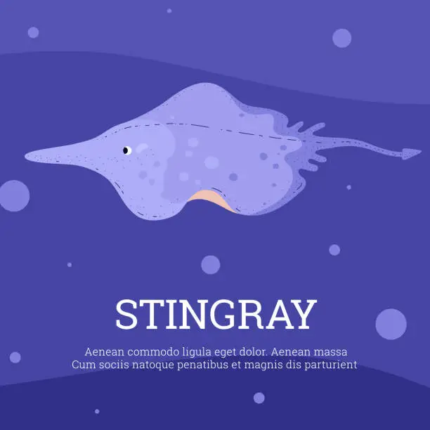 Vector illustration of Stingray. Vector illustration of manta fish swimming in the sea.