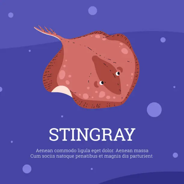 Vector illustration of Stingray underwater vector illustration with text description.