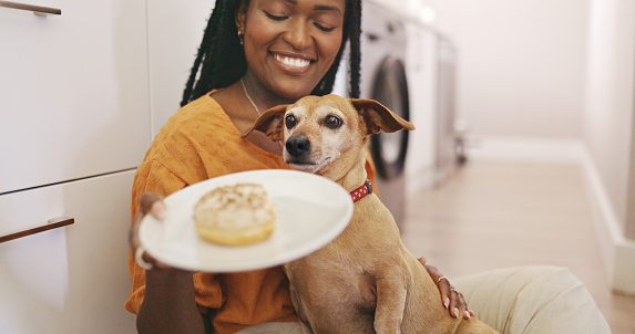 A young woman is sitting on the floor with her small dog. She is holding a plate with a donut on it and smiling at the dog.