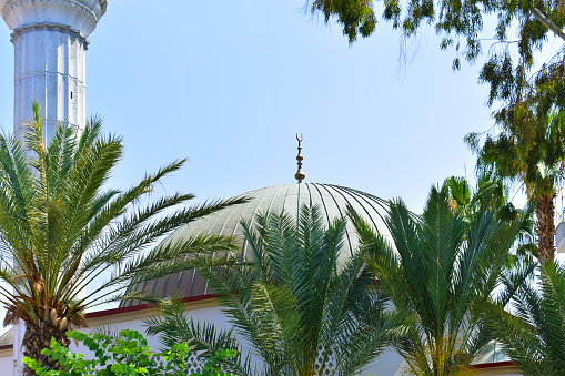 Landscape with palm trees and the dome of the Muslim mosque in the background of blue sky. Summer sunny day. Turkey, Alanya, July 2023.