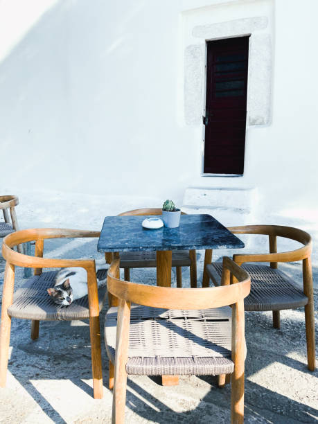 una mesa con una silla en la que se sienta un gato. - greek islands table window sun fotografías e imágenes de stock