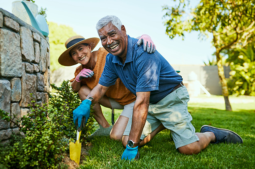 An elderly couple is happily gardening together in their backyard. The man is kneeling in the grass while the woman stands beside him, smiling.