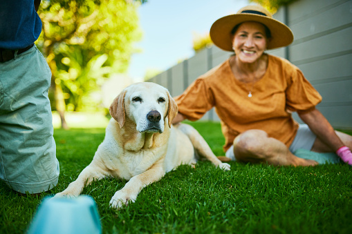 An elderly couple is sitting on the grass in their backyard with their dog. The woman is smiling and petting the dog, while the man is looking at the dog with a happy expression.