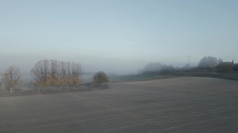 Remote countryside field covered in mysterious morning fog, dolly forward