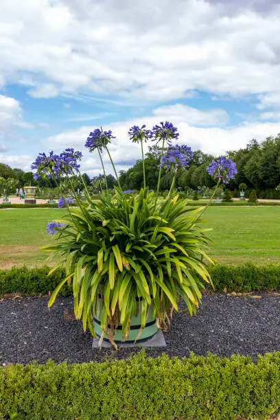 Photo of Gardens Charlottenburg palace in Berlin, Germany