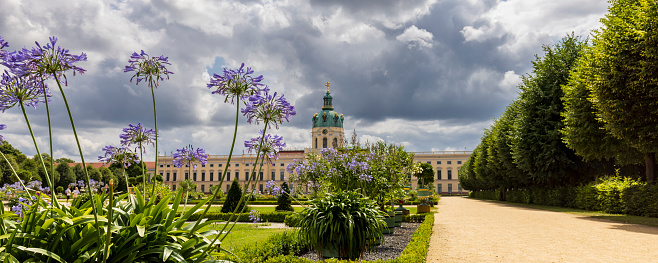 Agapanthus in elegant French style royal gardens with Charlottenburg palace in Berlin, Germany at the background