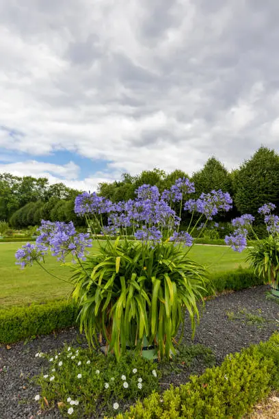 Photo of Gardens Charlottenburg palace in Berlin, Germany