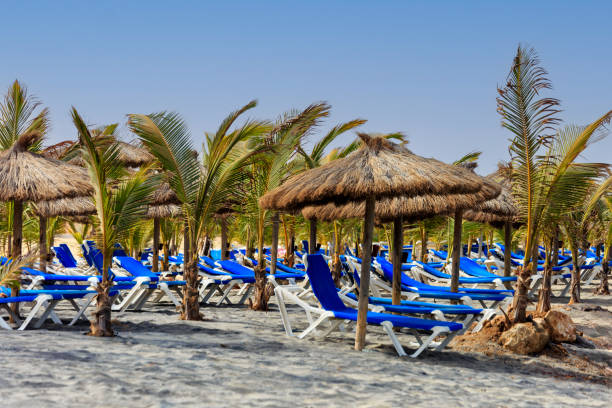 Vacation ready on Boa Vista beach