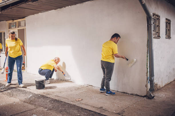 istock Volunteers renovating wall together 1887688120
