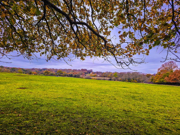 istock A serene autumn landscape showcasing a lush green field 1887710788