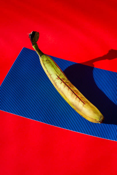istock Rotten yellow banana covered with thread against red and blue background. 1887725810