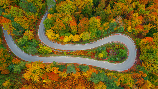 AERIAL, TOP DOWN: Paved road winding through picturesque forest in autumn colors. Amazing high angle view of asphalt serpentine road in embrace of lush treetops in vibrant color shades of fall season.