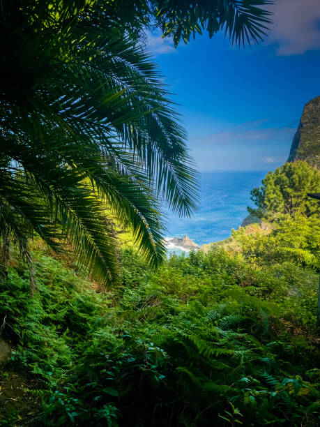 istock Stunning tropical views on Madeira, Portuga 1887767240