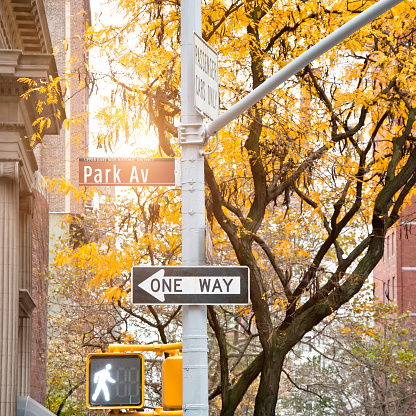 One Way road sign, Park Avenue, NYC.