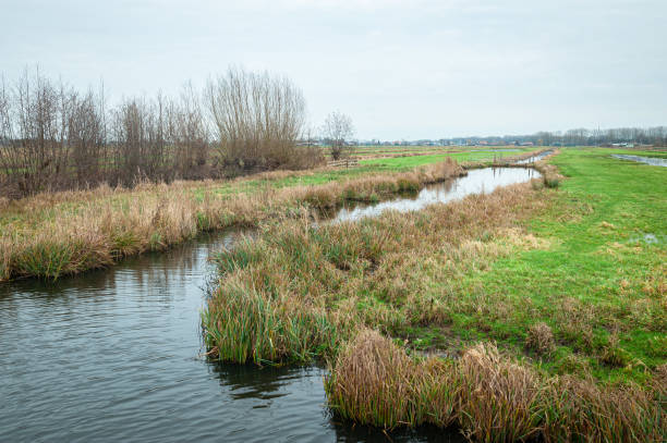 istock Typical View of the Dutch Polder Landscape 1887799199