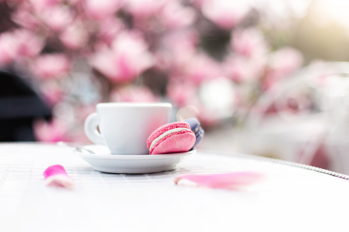 Spring still life. Cup of coffee with pink macaroons and petals of magnolia flowers are on white cafe table outside in blooming garden. Concept of morning breakfast, tenderness, sweet food and drinks.