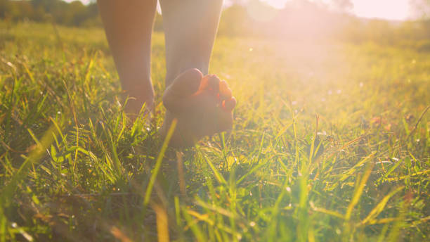 istock CLOSE UP, LOW ANGLE: Young female bare feet walking on grass in gorgeous light 1887837247