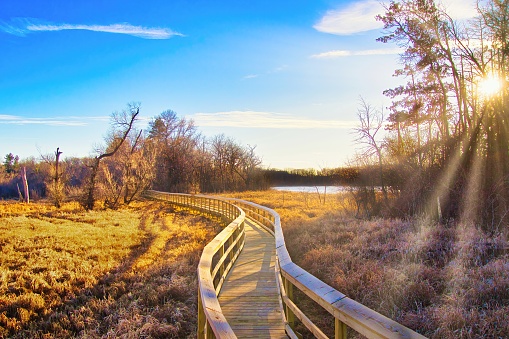 Late Autumn landscape of a wooden boardwalk curving through a golden marsh beside a lake along a segment of The Ice Age Trail near Janesville, Wisconsin.