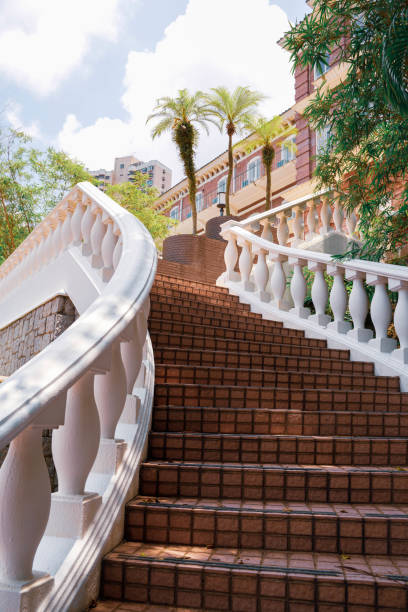 Hong Kong university