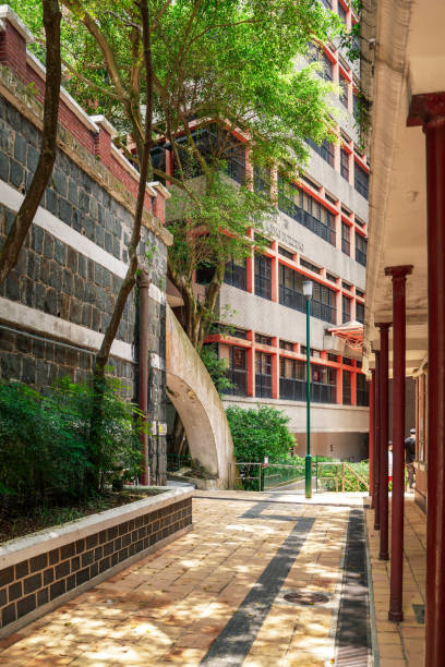 Hong Kong university