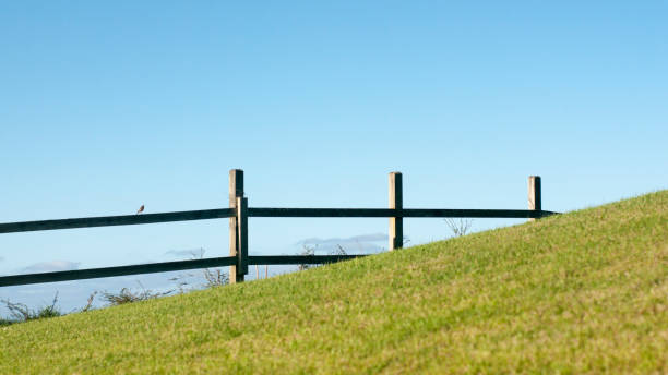 istock Bird on a wooden fence 1887879232