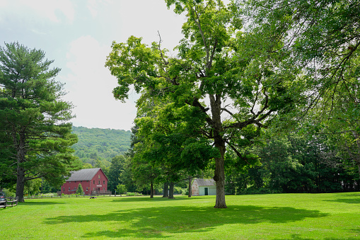 Red barn and out buildings on a farm in a field with two trees in Portland, Oregon, United States