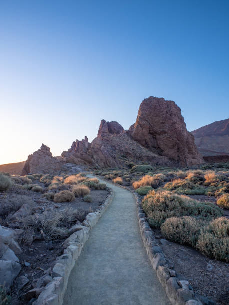 istock Landscape of Teide National Park 1887919733