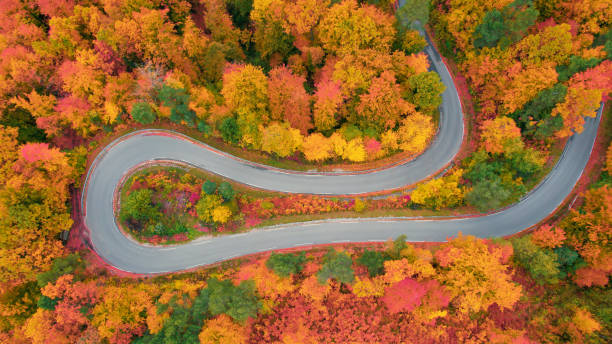 istock AERIAL, TOP DOWN: Winding asphalt road through autumn forest in vibrant colours 1887920252