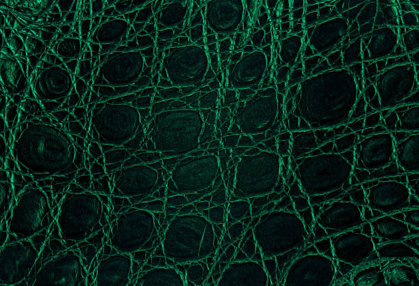 istock Crocodile skin texture. Background pattern crocodile alligator skin. 1887928028