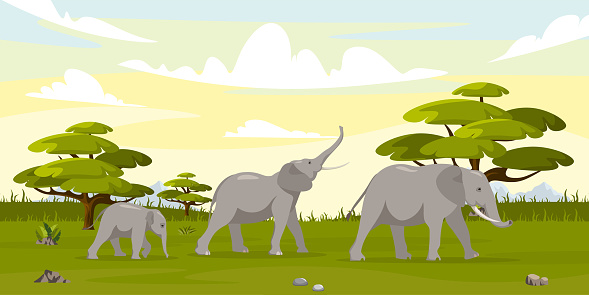 Vector illustration of a flock of elephants in cartoon style. Large animals walk on the steppes and forests of the savannah. Wildlife of Africa.