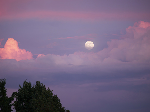 Amazing view of big full moon rising above pink and purple colored storm clouds. Wonderful colors of blue hour after summer sunset. Dreamy moment of mystic moonrise among colorful cumulus clouds.